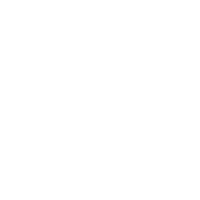 GitHub icon